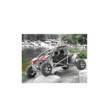 150cc Go Kart Good Engine (ZC-GK-10)