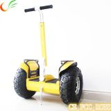Professional Manufacturer of Electric Scooter