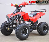 CE 110CC 125CC ATV Quad Bike (QW-ATV-02E)