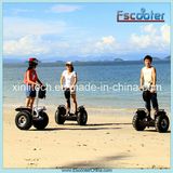 Mobility Scooter Snow Scooter From China Factory Two Wheels Stand up Scooters