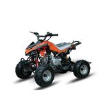 110cc /125cc ATV with Two Front Eyes Light (ZC-ATV-02D)