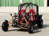 EEC, COC Approved 250CC Water-Cooled Go Kart (FG250KA-2)