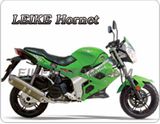 New CVT Racing Motorcycle (HORNET)