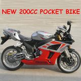 New 200cc Water Cooled Pocket Bike (MC-507)