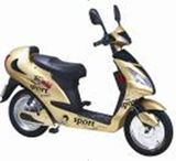 Electric Scooter DL014