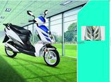 Electric Motorcycle (YHEM-3)