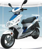 New Gas Scooter (50-150CC) 