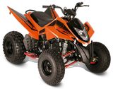 ATV SPORT 110CC (Kingmax 110S)