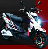 Electric Racing Scooter 800W (HD800W-4)