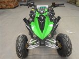 New Kawasaki Style Kids Quad 110cc /125cc ATV Et-ATV018 CE Approval, 110cc/125cc ATV Quad with Reverse (Manual/Automatic Available)