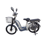 48V CE Electric Mobility Scooter with LED Light & Pedal (EB-013B)