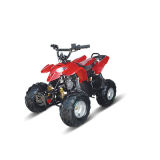50cc/110cc ATV (ZC-TAV-02B)