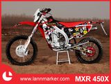 450cc Adult Motorbike