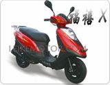 Gas Scooter FX-X (LK50QT-13)