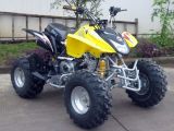 110cc Air Cooling ATV with Automatic Clutch  (QY110ATV-5)