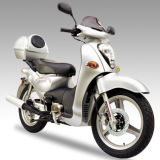 Scooter (SL110-8)