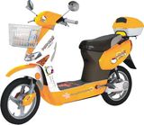 Electric Bike (TDR41Z)