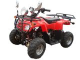 50CC,90CC Air-Cooled Chain Drive ATV with EEC / COC