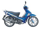 CUB Bike (SKC110-8)