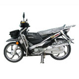 Cub Motorcycle (SP125-5N)