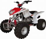 Water-cooling, EEC ATVs (JY200ST-5)