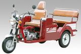 3-Wheel Motorcycle / Mobility Scooter (110ZK)