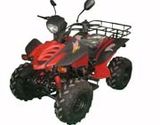 ATV 200CC EEC