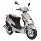 Gas Scooter (YL50QT-16(1))