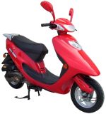 Gas Scooter (50QT)