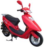 Gas Scooter (50QT)