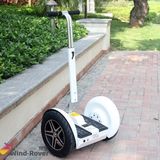 Best Price and Quality Electric Scooter with CE