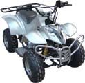 New Model Of 50CC QUAD/ATV (FST-50-E)