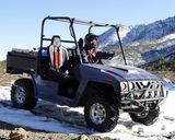 800cc UTV 4X4 Utility Vehicle