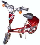 Electric Scooter HL-02