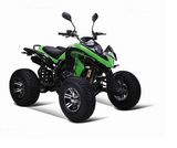 250CC ATV (HD-250G) 