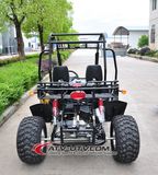 X'mas Selling Mademoto off Road Racing Go Kart