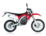 250CC Dirt Bike (GBTD10-250B)