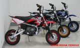 Economical 110cc/125cc Dirt Bike (HN-DB021-1)