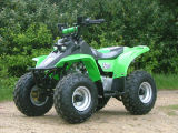 ATV 50cc,70cc (WJ50ST)
