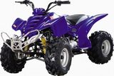 ATV (ACE110ATV)