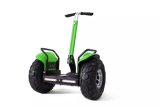 Wholesale Smart Self-Balancing 19 Inch Electric Scooter