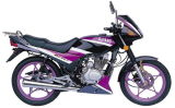 Motorcycle (QJ125-P)