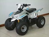 ATV 110CC