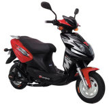 Electric Scooter (TDR50-1Z)