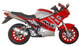 Motorcycle (QLM250-2)
