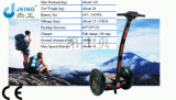 Popular Two Wheels Self Balancing Scooter with Handle