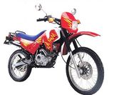 250CC Dirt Bike (DF250)