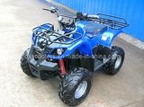 Electric ATV (YC-6006)