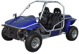 800CC EEC Go Kart (FPG800E-S)