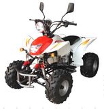 EEC ATV (Raptor 200cc Water Cooled)